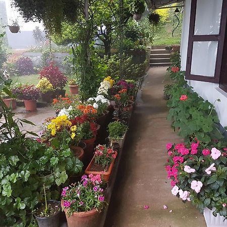 Rheinberg Town Haus Hotell Munnar Eksteriør bilde