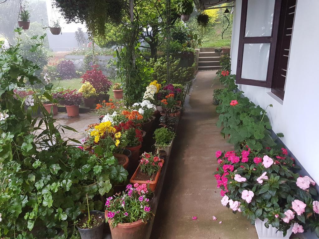 Rheinberg Town Haus Hotell Munnar Eksteriør bilde