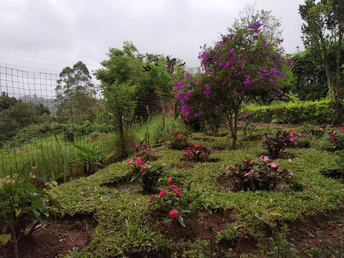 Rheinberg Town Haus Hotell Munnar Eksteriør bilde